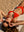 NATALIA - BIKINI TOP, TANGERINE LARGE RIB