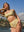 GENEVIEVE - HAUT DE BIKINI, JAUNE