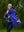 GENEVE - SCARF, ROYAL BLUE