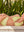 FLORENCE - BAS DE BIKINI, FLEURS ENSOLEILLEES