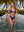 NATALIA - HAUT DE BIKINI, BLEU ROYAL COTELE