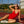 ANNE - MAILLOT UNE-PIECE, ROUGE TEXTURE