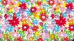Color: Small flowers multi colors