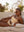 Maude bikini bottom mini yellow stripes